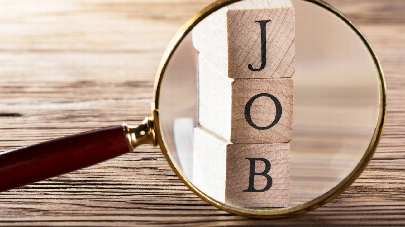 JOB OPPORTUNITY
